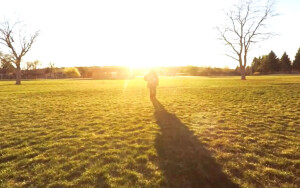 vignette video